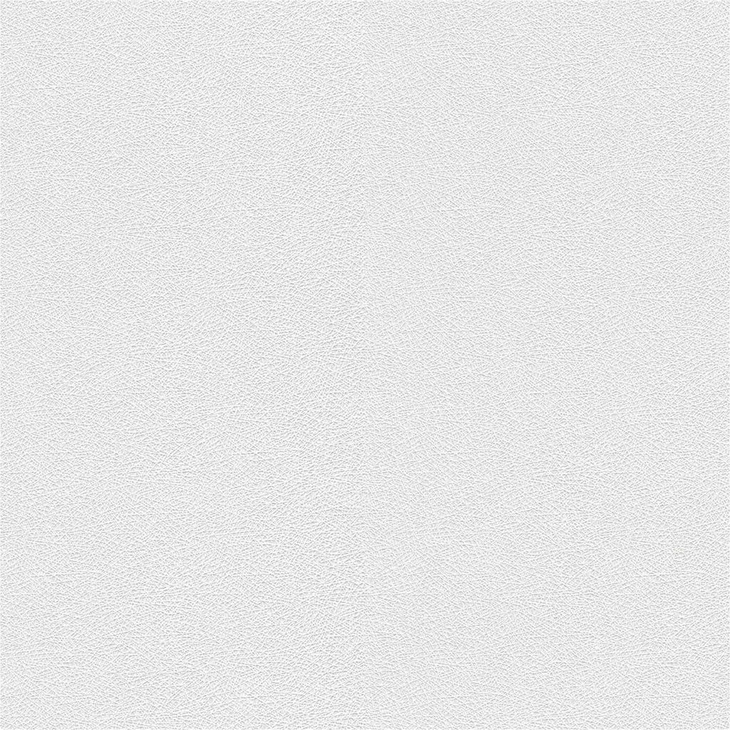 Überstreichbare Tapete 178814 Vliestapete Grafik 106 x 2500 cm Rasch Wallton (2025) Weiß