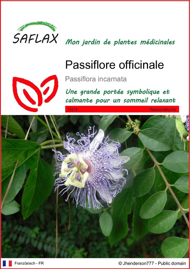 SAFLAX  - Passiflore officinale - 5 graines - Passiflora Image du produit 