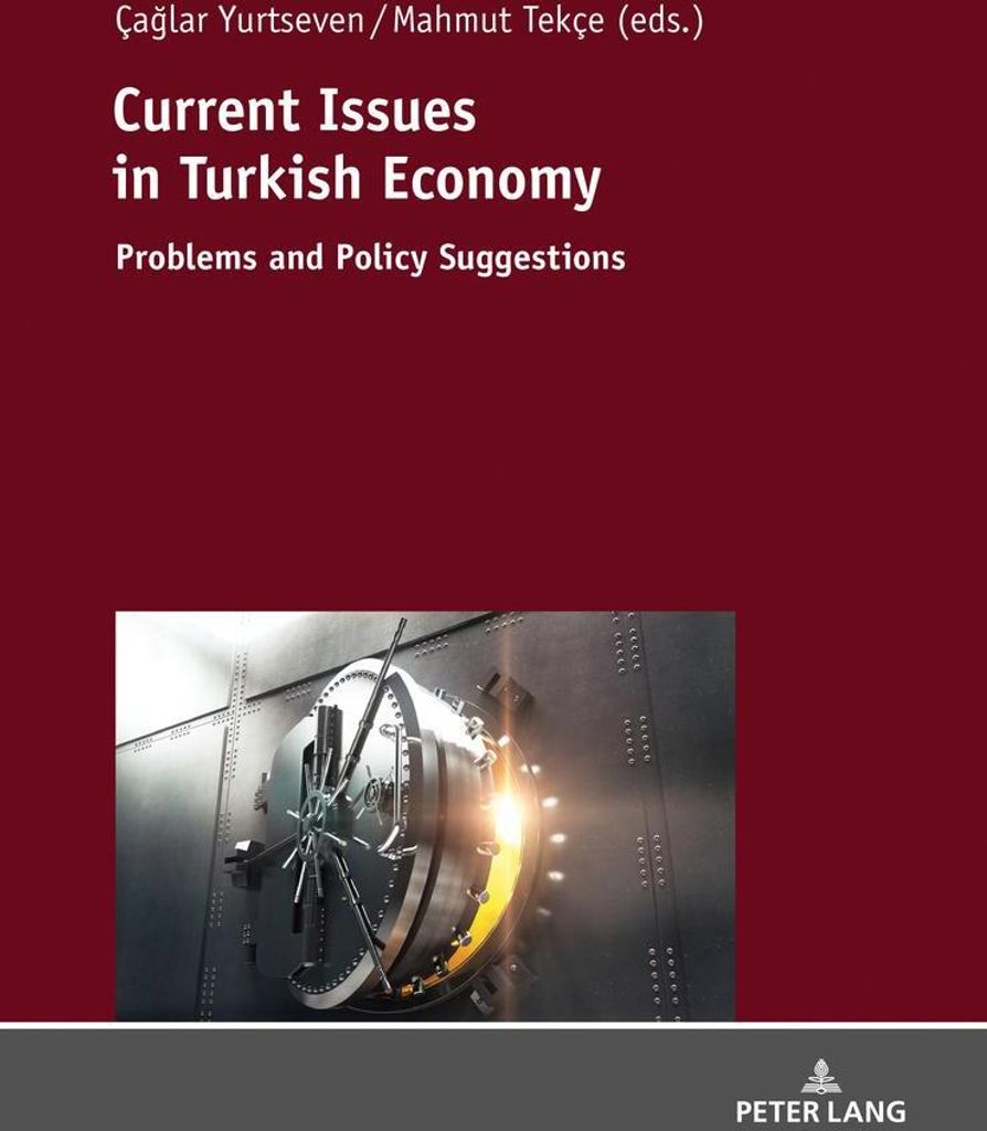 Current Issues in Turkish Economics