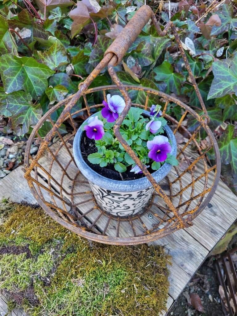 Edelrost Korb mit Henkel Edelrost Korb zum Stellen - d = 30 cm