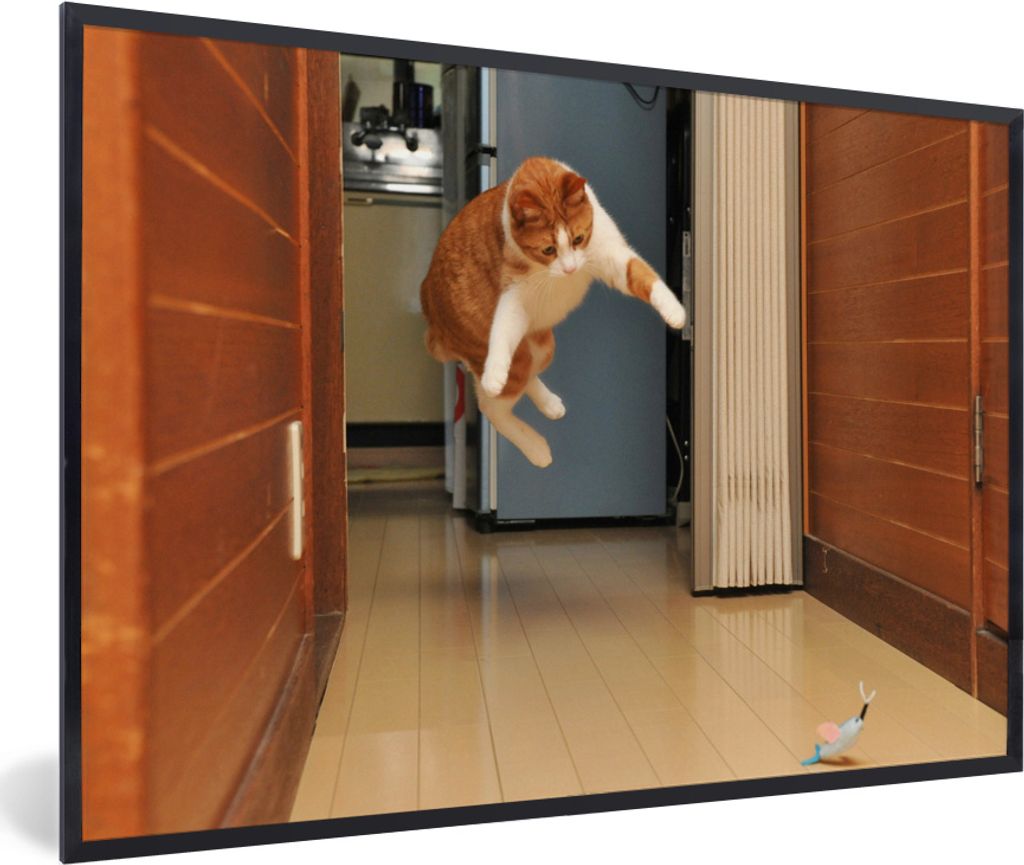 MuchoWow MuchoWow Gerahmtes Poster Katze - Springen - Spielzeug 60x40 cm - Poster mit zchwarzem Bilderrahmen - Printing - Wanddeko Schlafzimmer