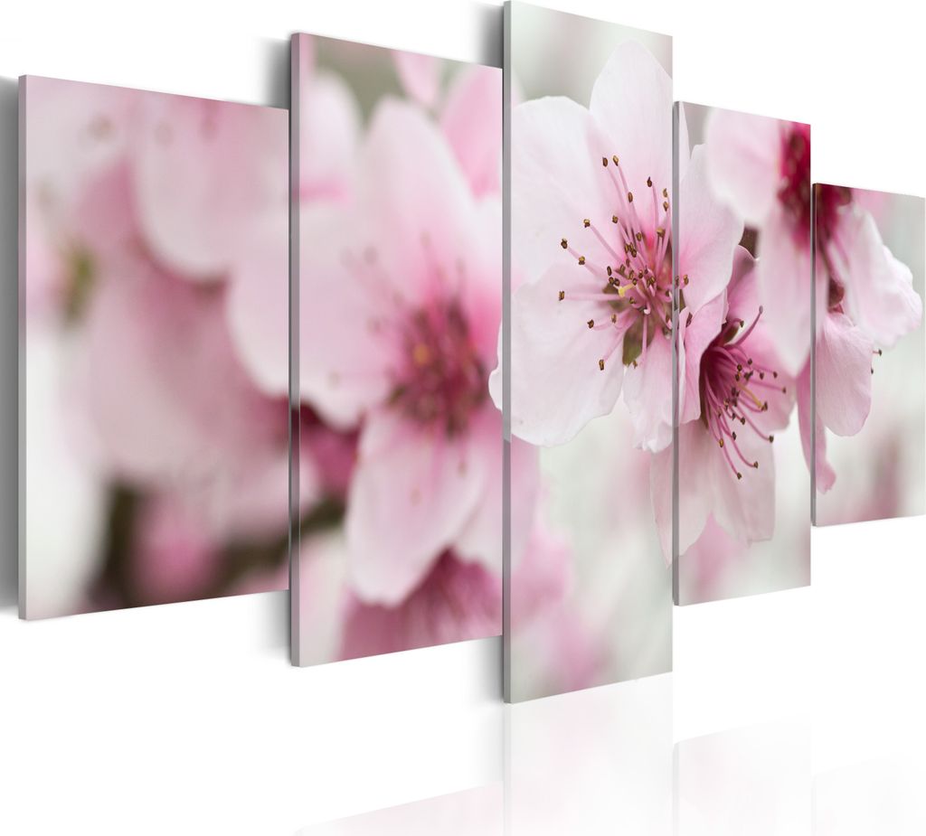 Modernes Wandbild 030210- 40 (100x50) - 5 Teilig Bilder Fotografie auf Vlies Leinwand Foto Bild Dekoration Wand Bilder Kunstdruck Blumen
