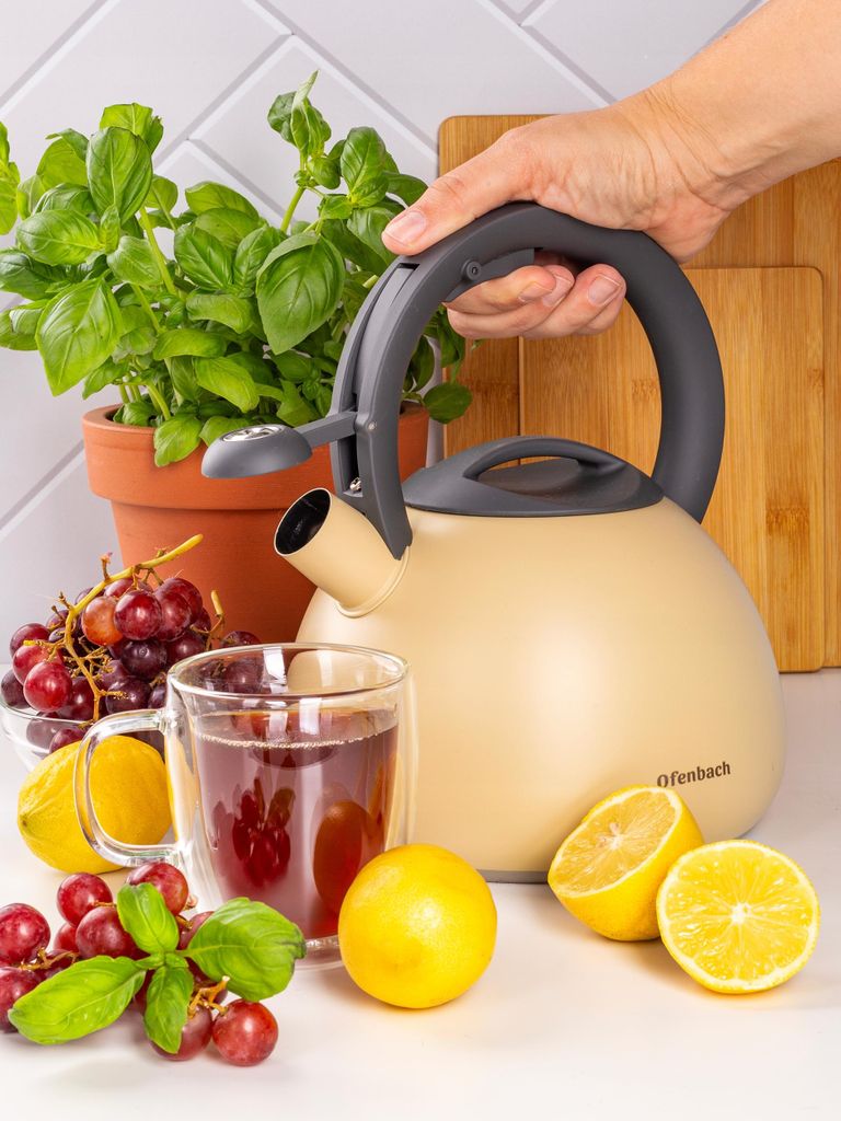 Traditioneller Wasserkessel Mit Pfeifer Für Gas Und Induktion Ofenbach