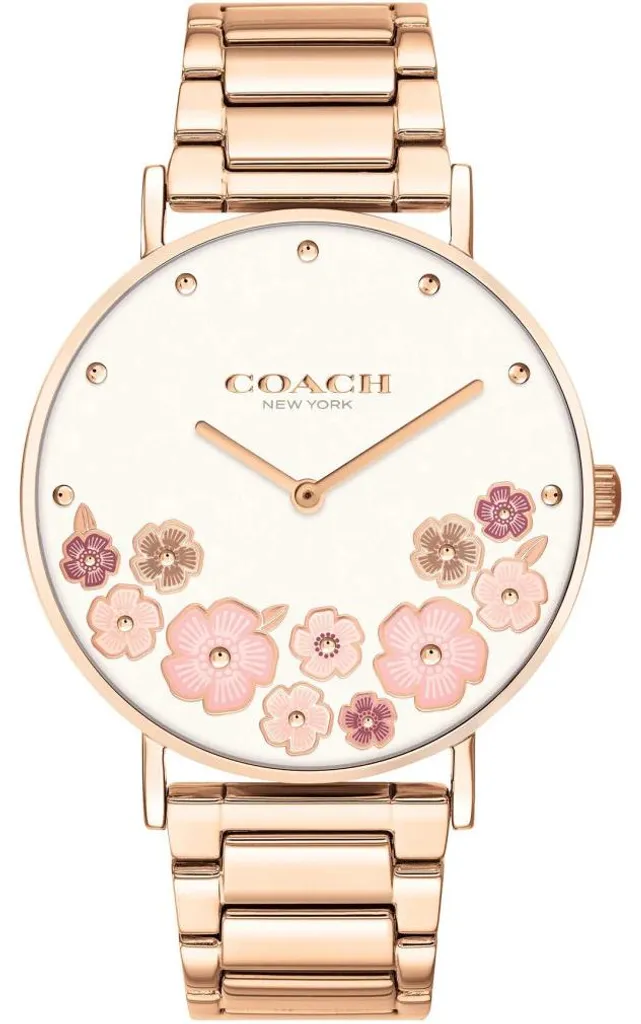 Montre Femme Perry 14503768 : Style Chic et Confortable pour le Poignet