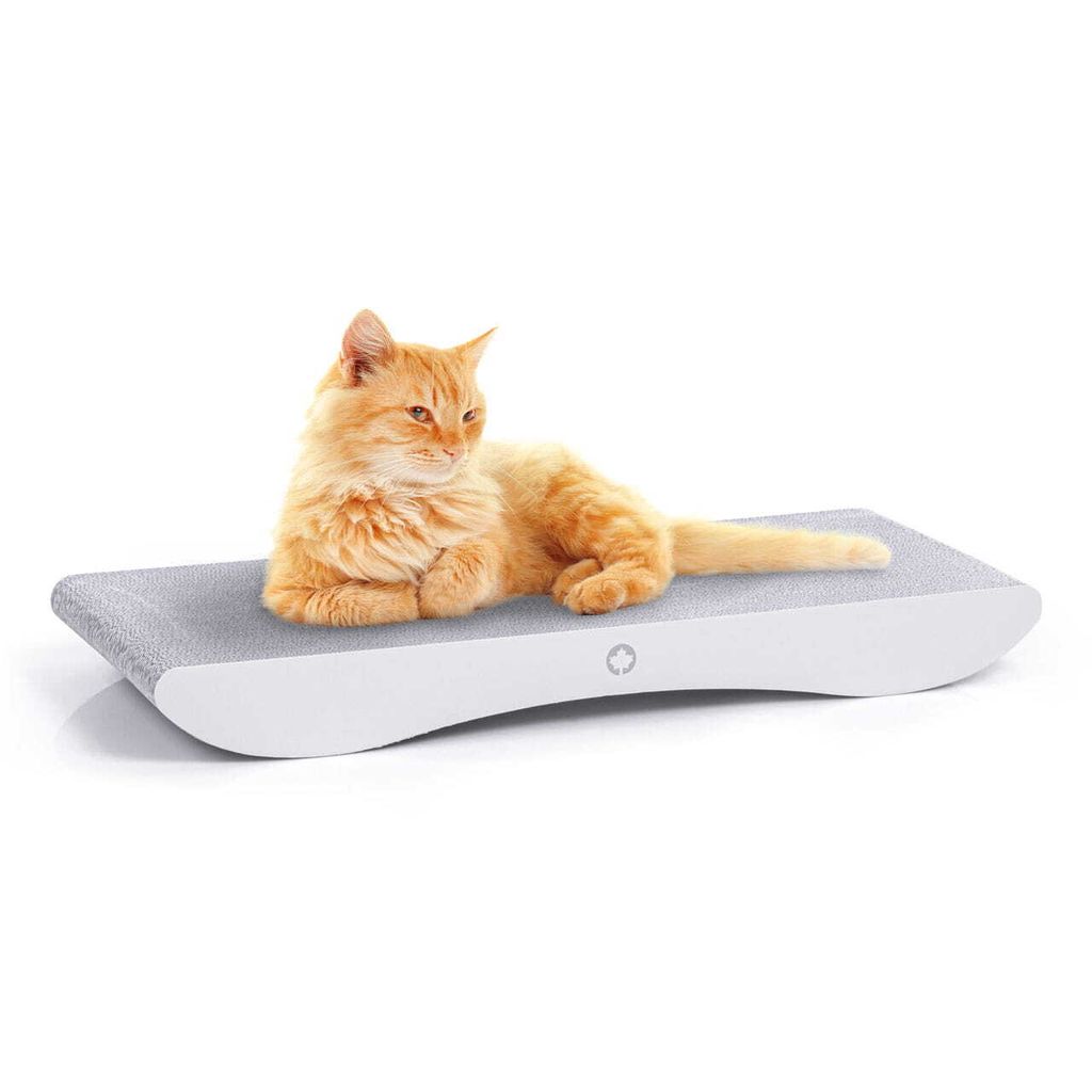 COMET XL | Katzentransporter für Kanadische Katze | WHITE EDITION | WEISS