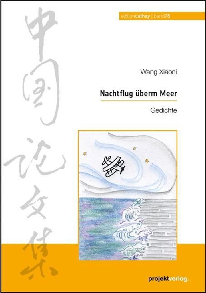 Nachtflug überm Meer
