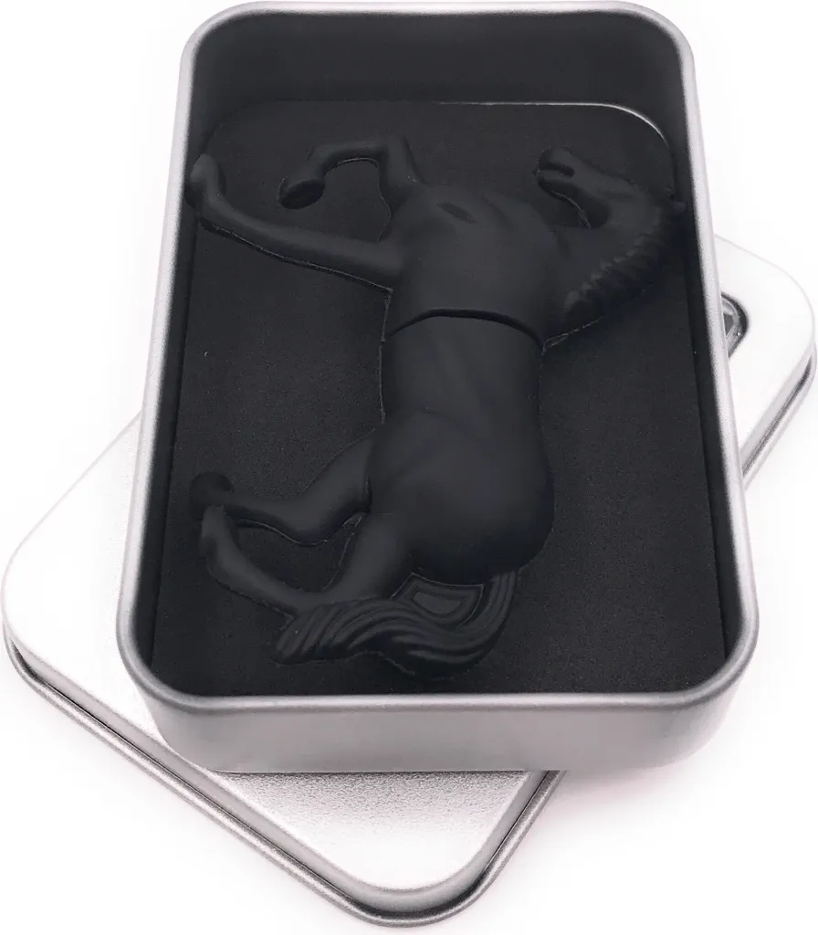 Cadeau Équitation : Clé USB 128 Go Cheval Noir 3.0 pour Photos et Vidéos