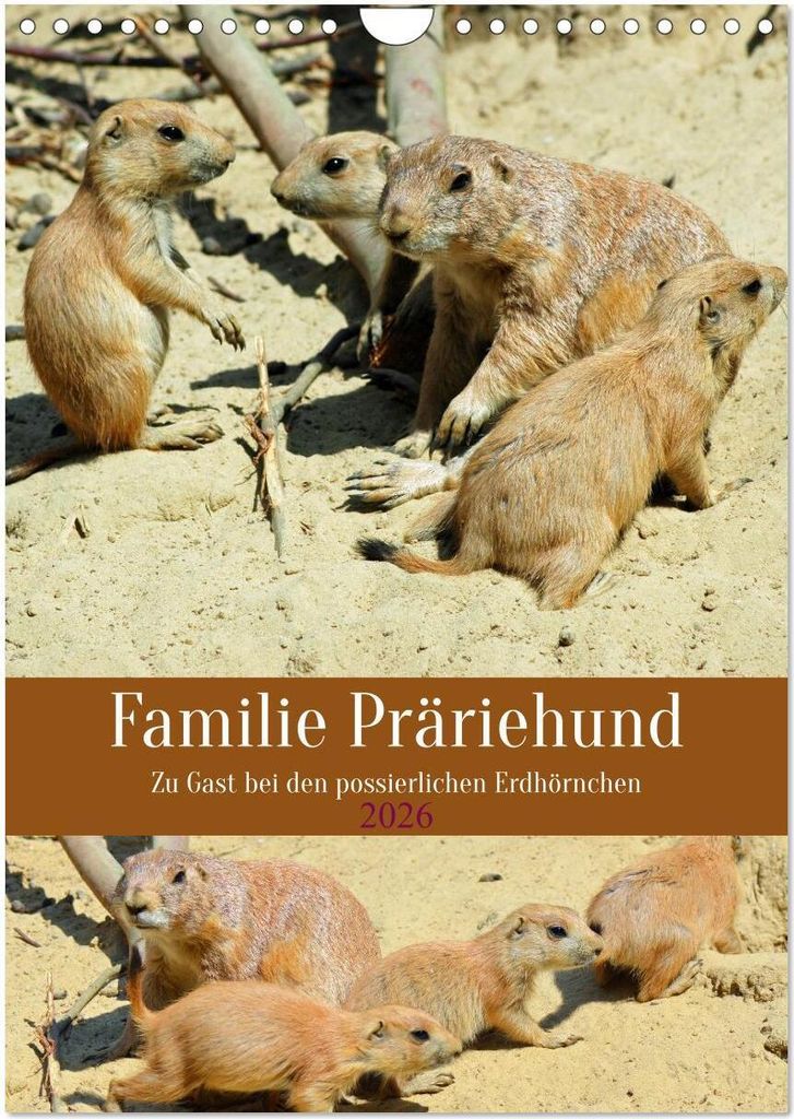 Familie Präriehund (Wandkalender 2026 DIN A4 hoch), CALVENDO Monatskalender