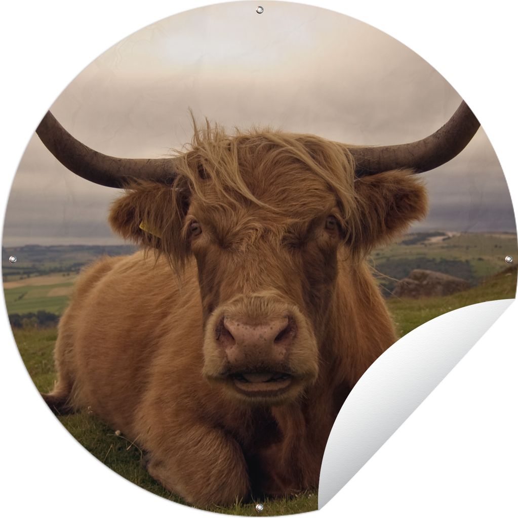MuchoWow Gartenposter Outdoor-Poster Rund Schottischer Highlander - Tiere - Berg Ø 60 cm Gartendeko Rundes Poster draußen