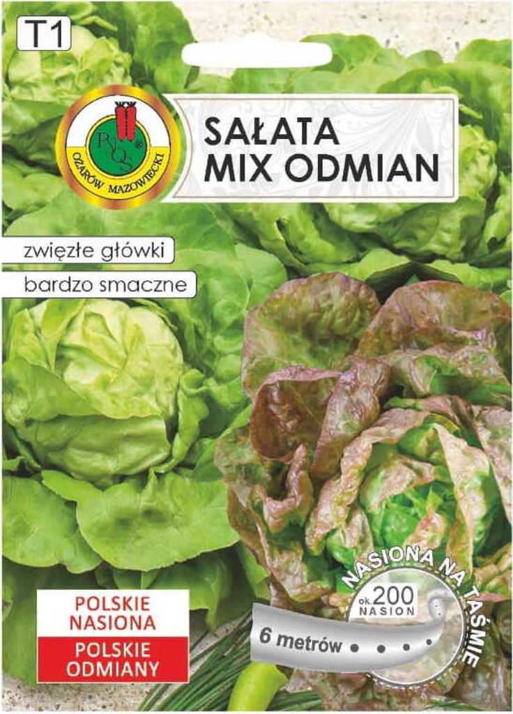 Kopfsalat Jubilatka + Edyta Ożarowska 6m frühe Sorten