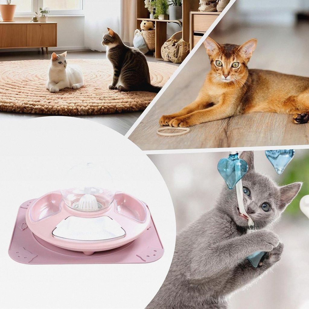 Katzennäpfe,Näpfe Für Futter Und Wasser Für Kätzchen | Multifunktionale Katzenschale rutschfest Futternapf Trinkschale