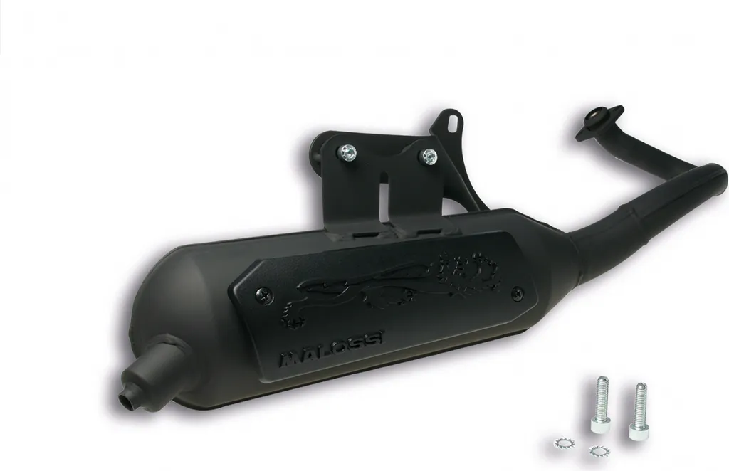 Pot Malossi Wild Lion pour Piaggio Liberty : la solution homologuée CE