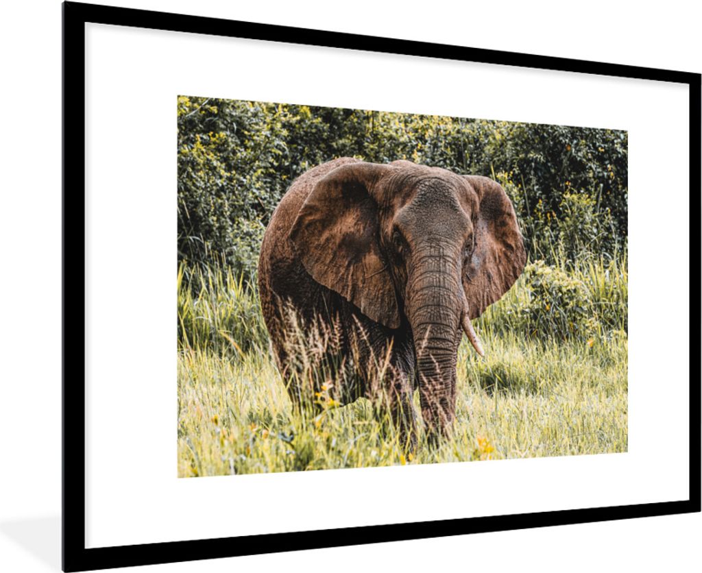 MuchoWow MuchoWow Gerahmtes Poster Elefant - Natur - Gras 90x60 cm - Poster mit zchwarzem Bilderrahmen - Wanddekoration - Fotos