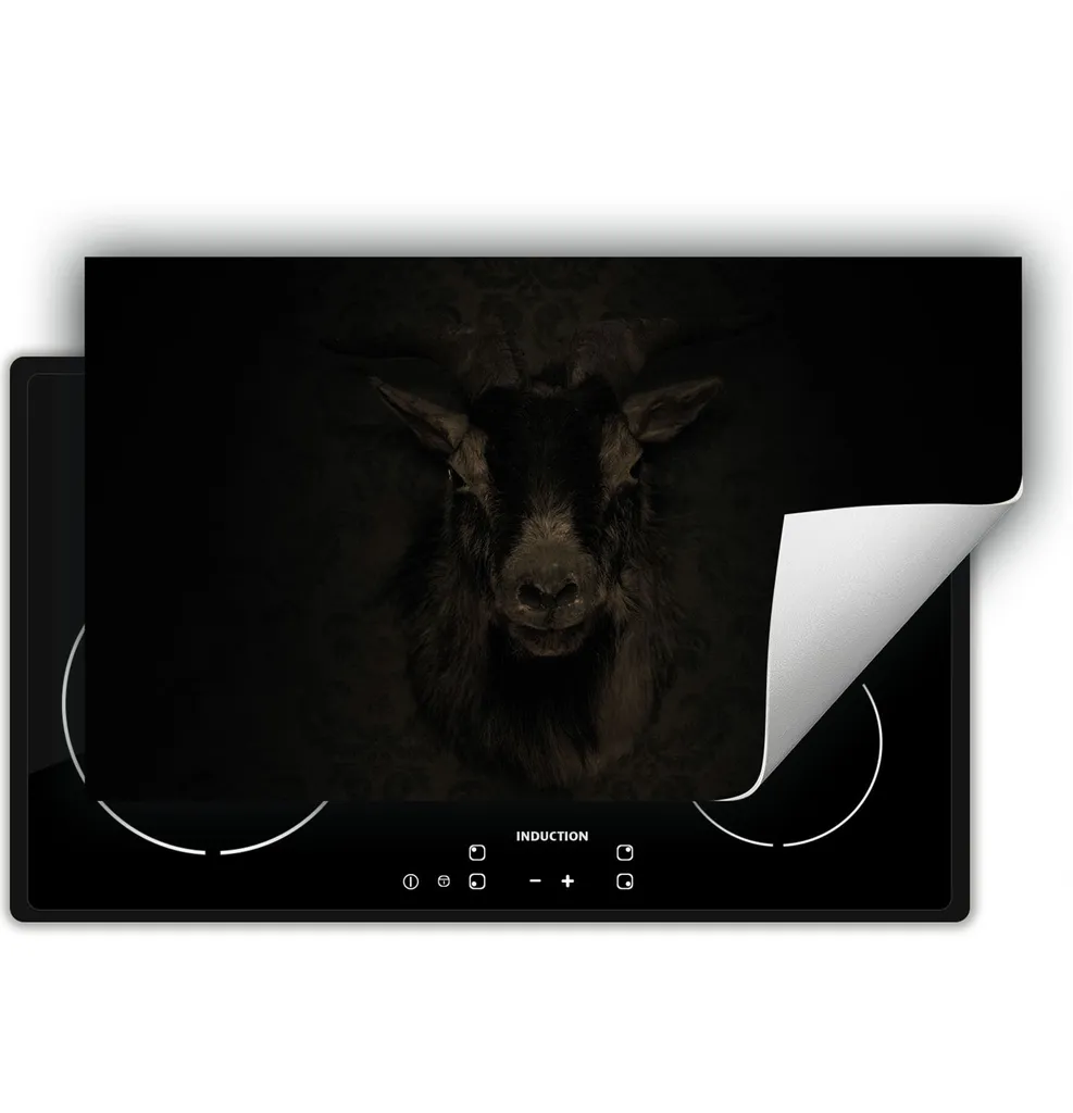 DarHaus Piastra Copertura Stufa 90x52 cm - Tappetino Induzione Capra