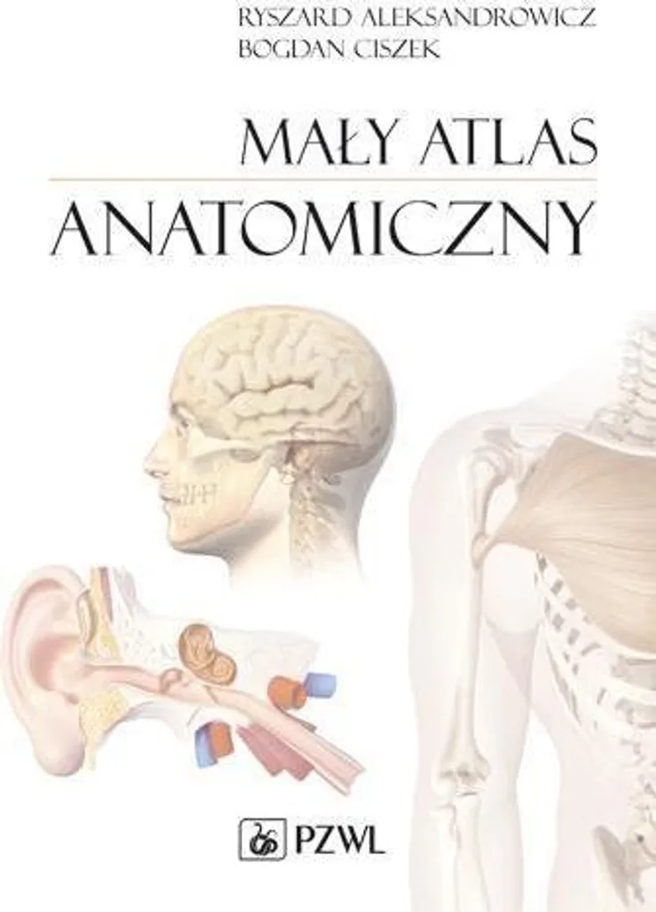 Petit atlas anatomique illustré pour apprendre l'anatomie humaine facilement