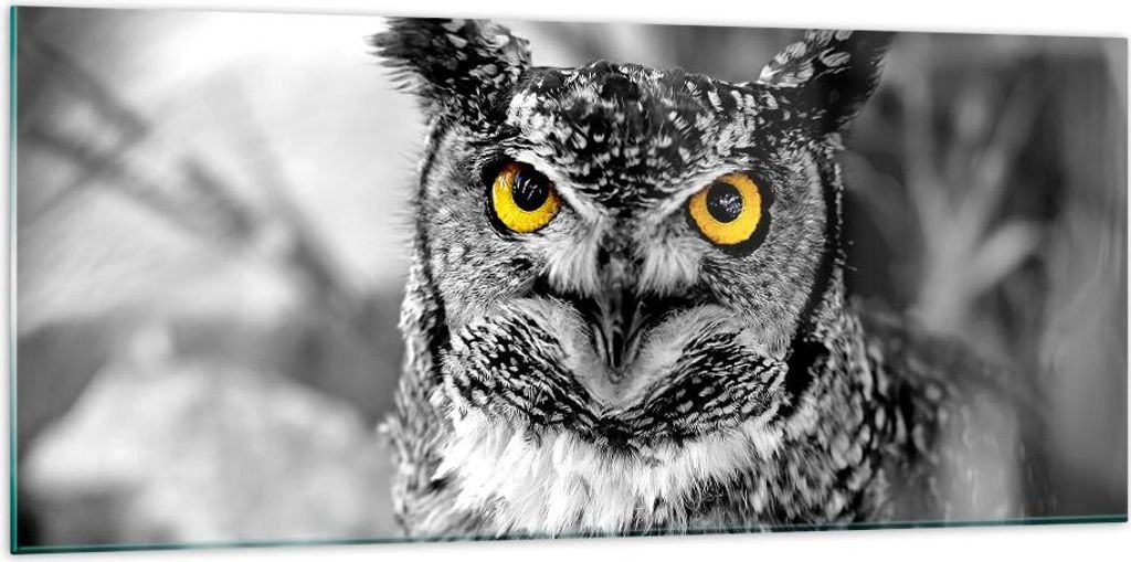 Bilder auf glas - Eule Vogel Natur - 120x50cm - Glasbilder - Wandbilder - Kunstdruck - zum Aufhängen bereit - Wanddekoration aus Glas - Glas Bilde...