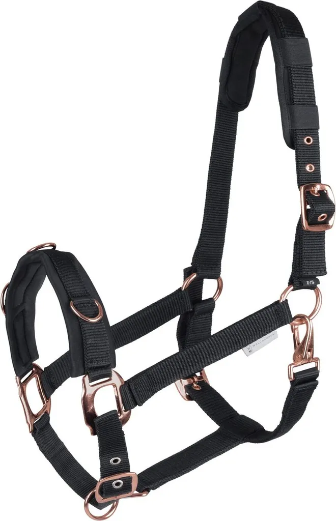 Licol avec longe pour poney Waldhausen - Ensemble de pansage robuste