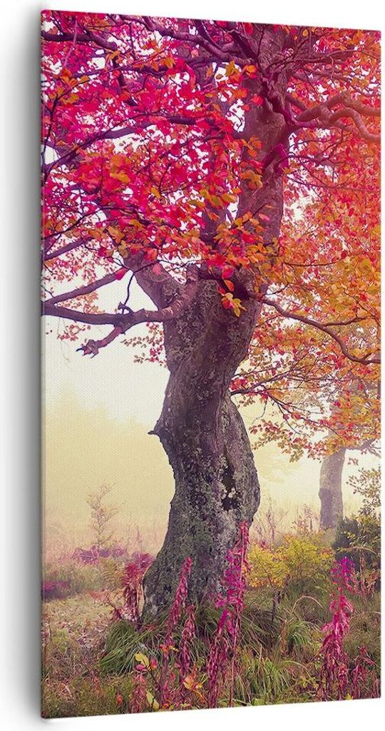 Bild auf Leinwand - Leinwandbild - Baum Natur Wiese - Produktbild 