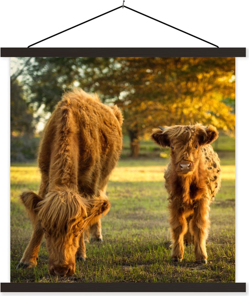 MuchoWow Textilposter Schottisches Hochlandrind - Kalb - Herbst 120x120 cm mit schwarzem Rahmen - Aufhängungsset