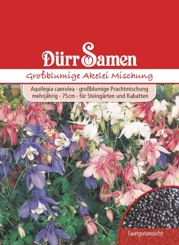 Großblumige Akelei Mischung | Akeleiensamen von Dürr Samen Produktbild 