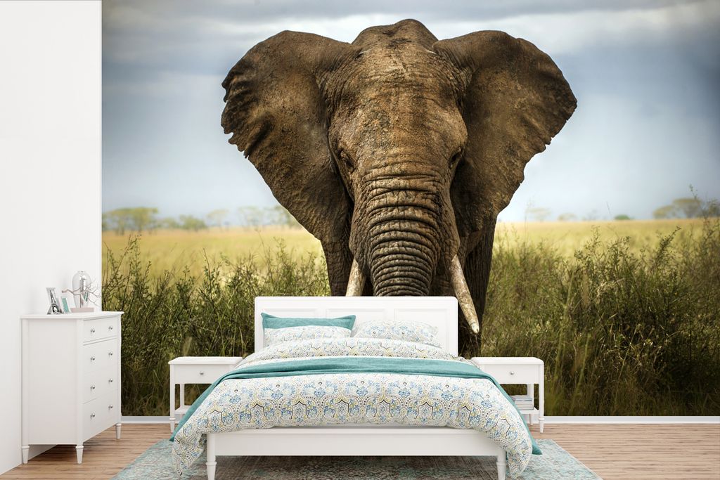 MuchoWow Fototapete für Wohnzimmer oder Schlafzimmer Wandtapete Vinyl Motivtapete Elefant - Tiere - Gras - 450x300 cm - Gemusterte