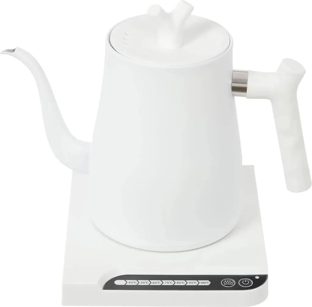 Bouilloire inox anti-surchauffe avec thermostat précis pour thé blanc