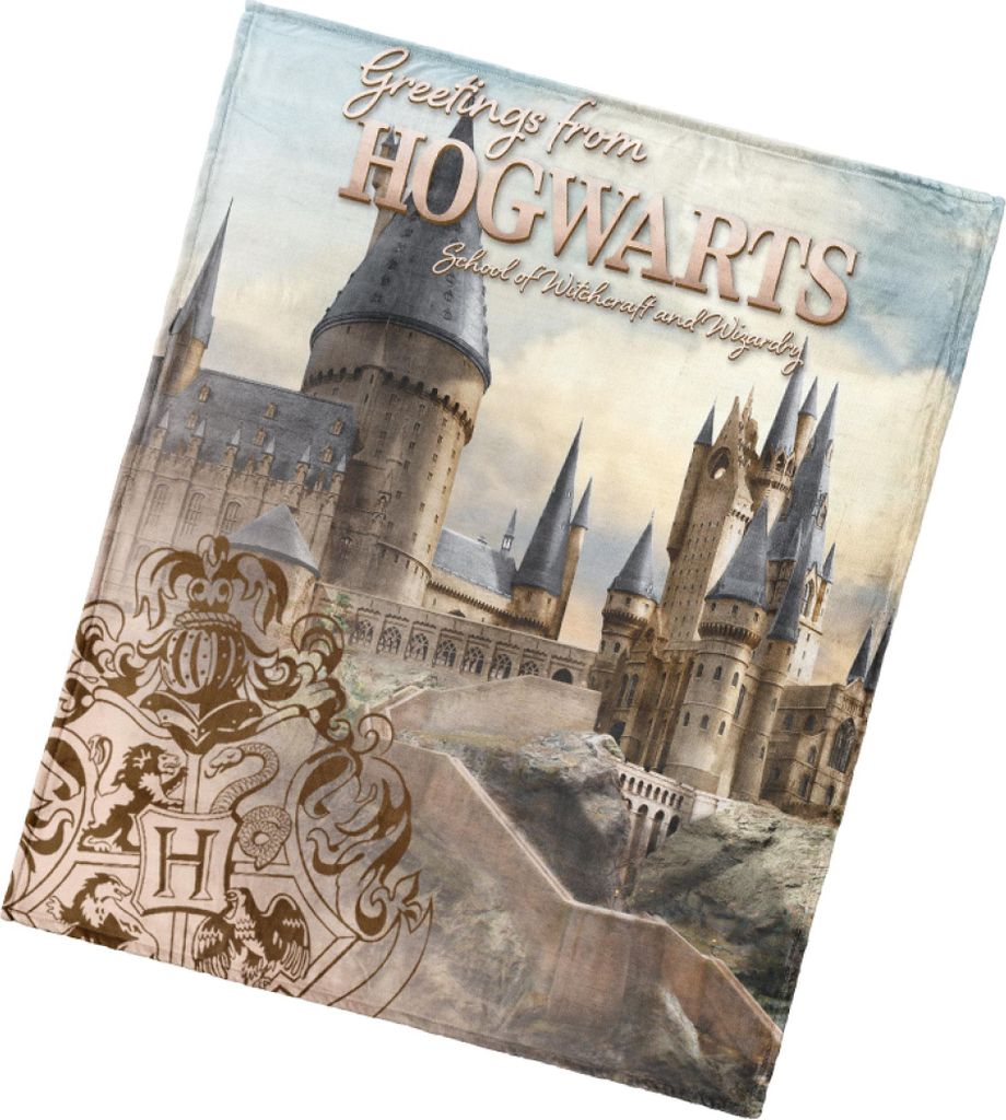 Krabbeldecke Harry Potter Hogwarts Mystery 130x160 cm