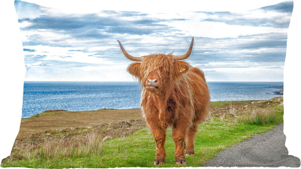 MuchoWow Zierkissen Sofakissen Wohnzimmer Dekokissen 50x30 cm Schottisches Hochlandrind - Wasser - Hörner - Wohnzimmerdekoration - Polster mit P...