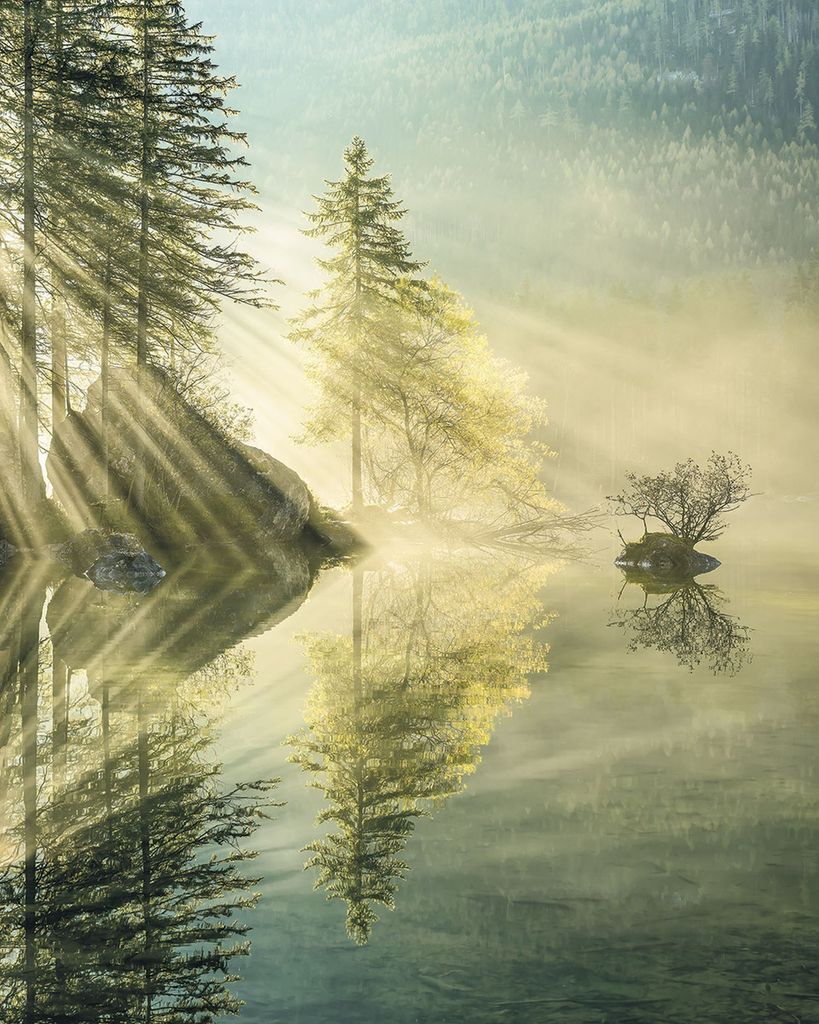 Sanders & Sanders Fototapete bewaldete Landschaft Grün 200 x 250 cm
