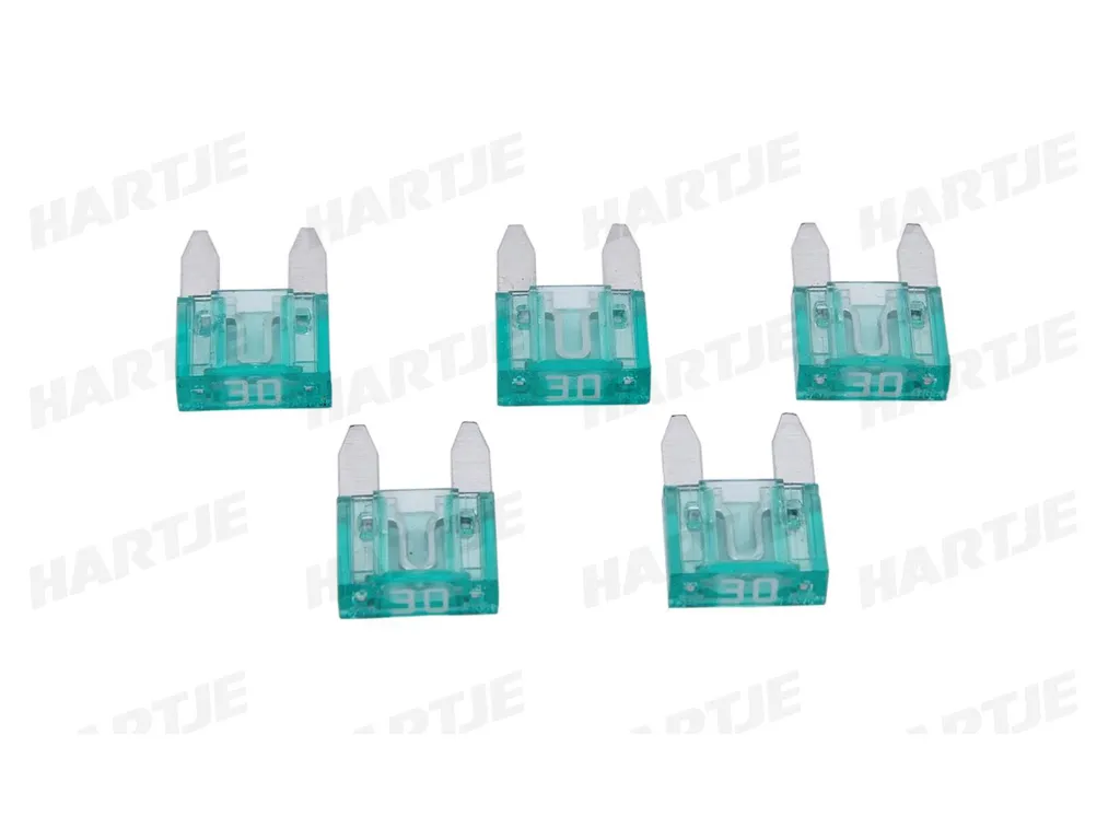Fusible à fiche plate Mini 30A Dresselhaus vert clair pour automobile