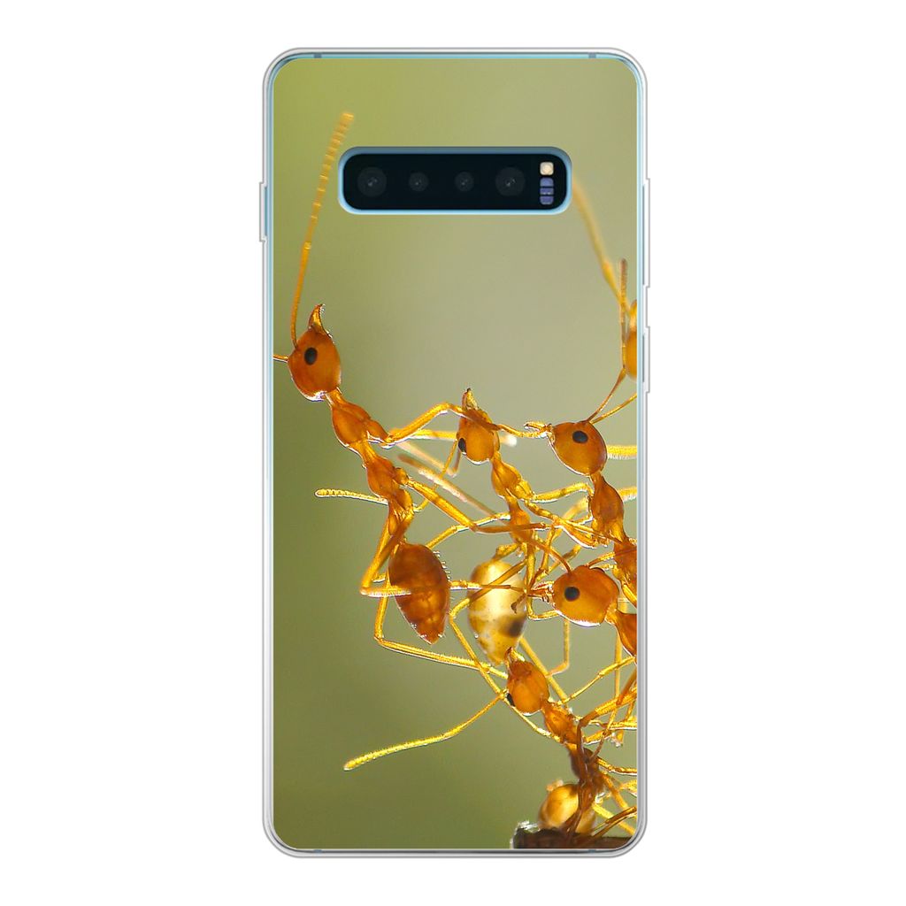 MuchoWow Handyhülle Schutzhülle Hülle für Samsung Galaxy S10 Lite Ameisen - Orange - Tiere Silikon Softcase Handy Hülle - Schutz