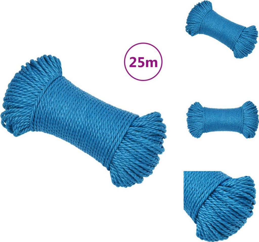 vidaXL Arbeitsseil Blau 6 mm 25 m Polypropylen - Seile