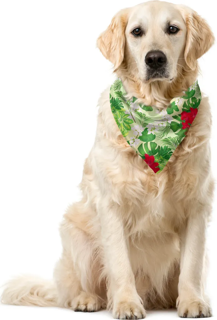 ABAKUHAUS Bandana per animali domestici Philodendron, bouquet vivace e ritmico, 40x40 cm, verde chiaro e rosa scuro