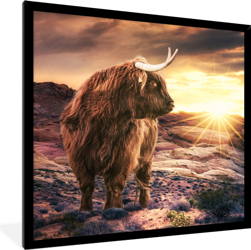 MuchoWow® Gerahmtes Poster Kuh - Schottischer Highlander - Produktbild 