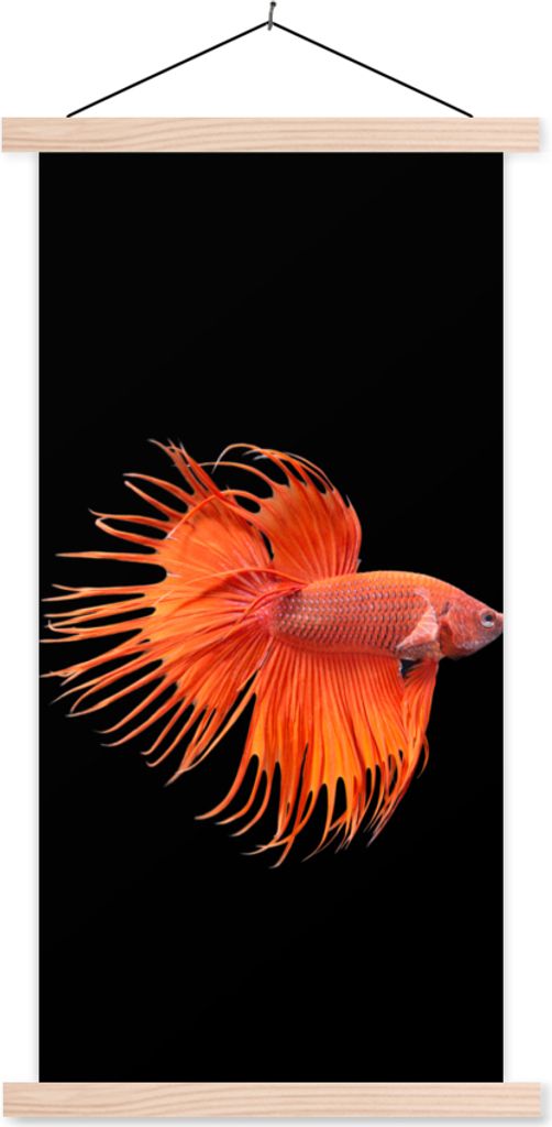 MuchoWow Textilposter Fische - Wilde Tiere - Schwarz 40x80 cm mit holzfarbenen Rahmen - Wohnzimmer