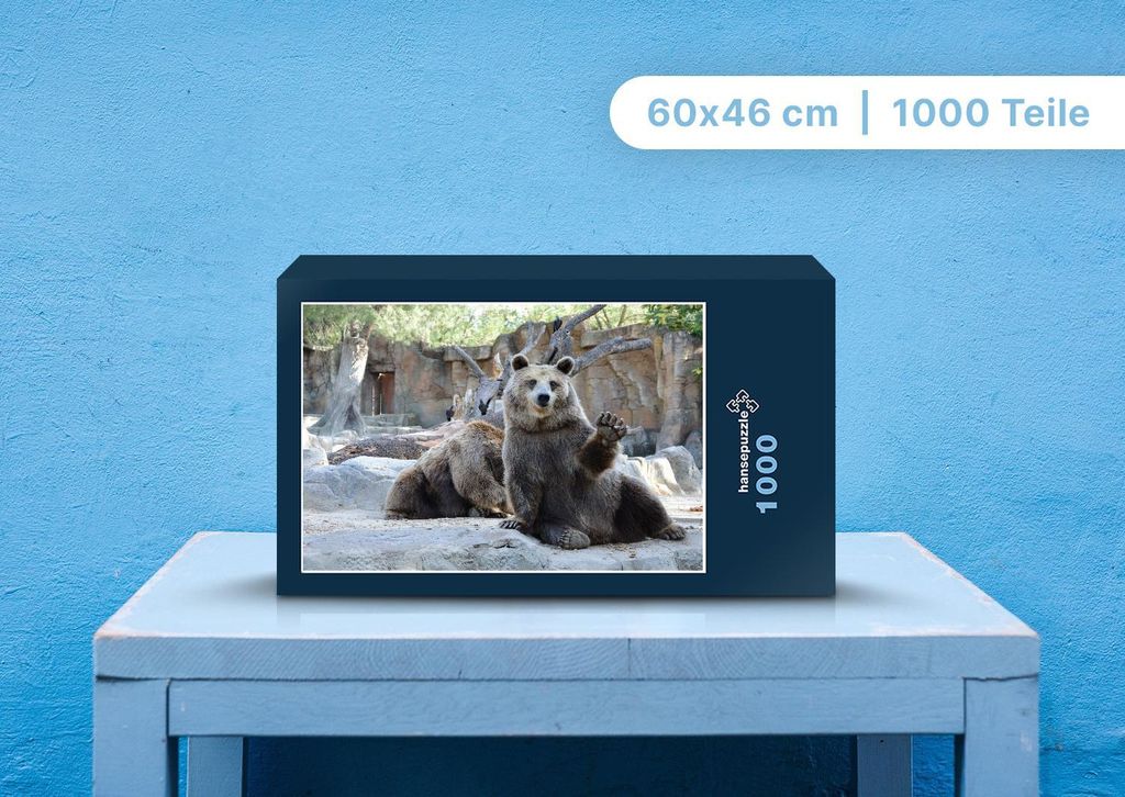 hansepuzzle 106208 - Bär Puzzle, 1000 Teile, Tierwelt, 60,0 x 46,0cm mit hochwertiger Aufbewahrung, Kartonbox und wiederverschließbarem Beutel