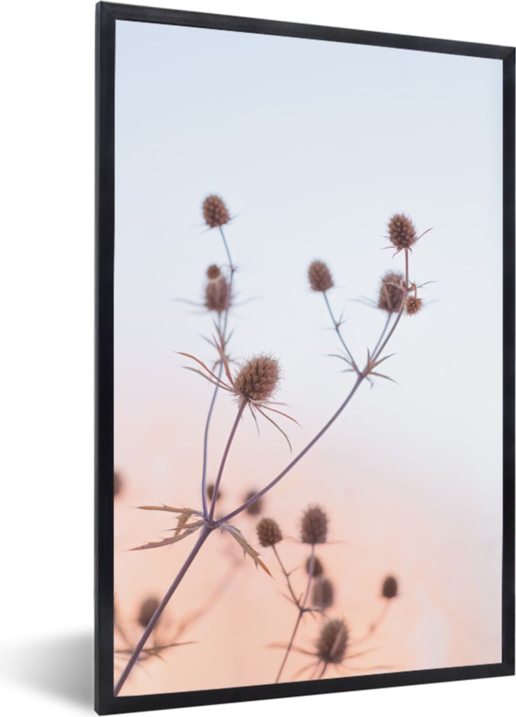 MuchoWow Gerahmtes Poster Getrocknete Blumen - Pastell - Himmel 60x90 cm - Poster mit Schwarzem Bilderrahmen Wandposter Rahmen Foto Bilder - Kunst