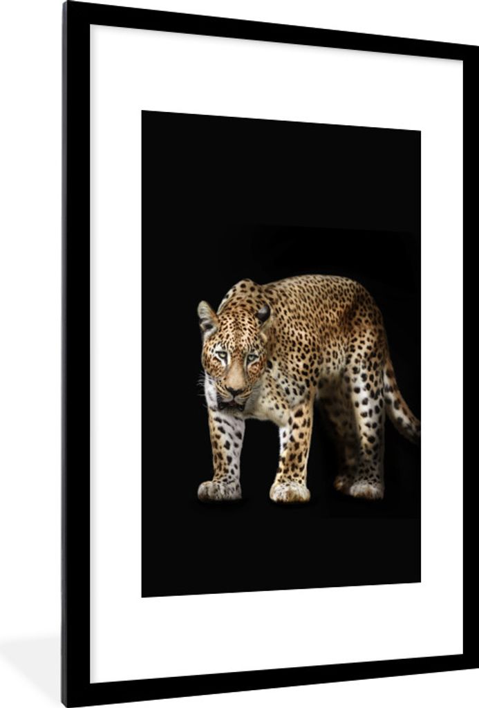 MuchoWow Gerahmtes Poster Leopard - Schwarz - Tiere 60x90 cm - Poster mit Schwarzem Bilderrahmen Wandposter Rahmen Foto Bilder - Dekoration - Wan...