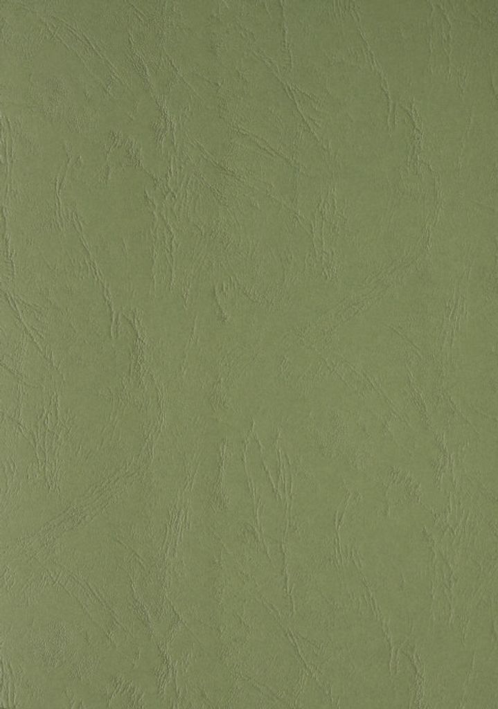 Ledergenarbter Karton DIN A4 Clairefontaine 270g/m², dunkelgrün