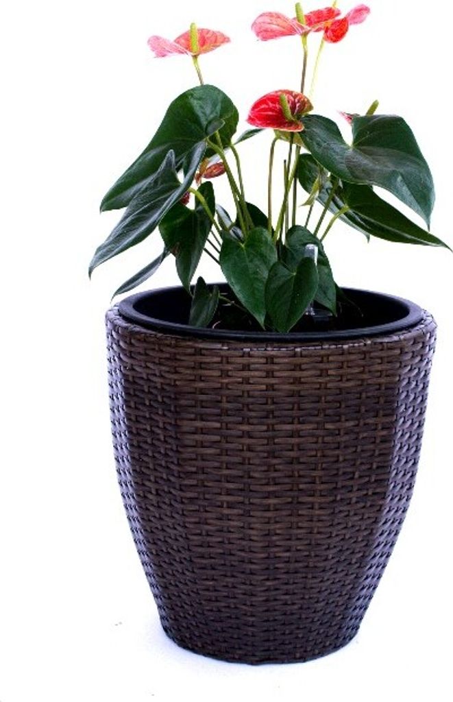 Elegant Einrichten | Pflanzkübel | Polyrattan | rund konisch | D37xH37cm | mocca