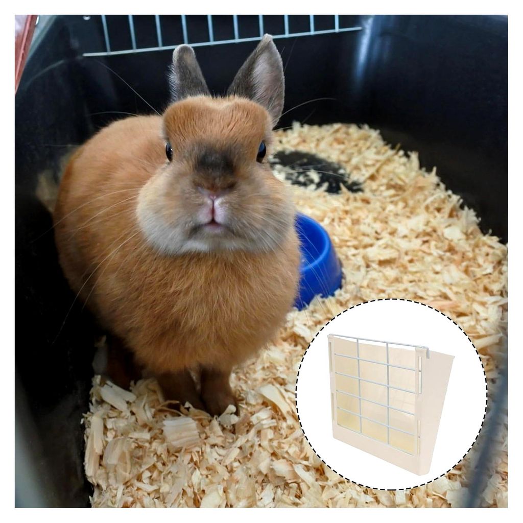 Futternapf für Kaninchen aus bissfestem Kunststoff mit Befestigungsständer für Kleintiere wie Meerschweinchen, Chinchillas und Hamster