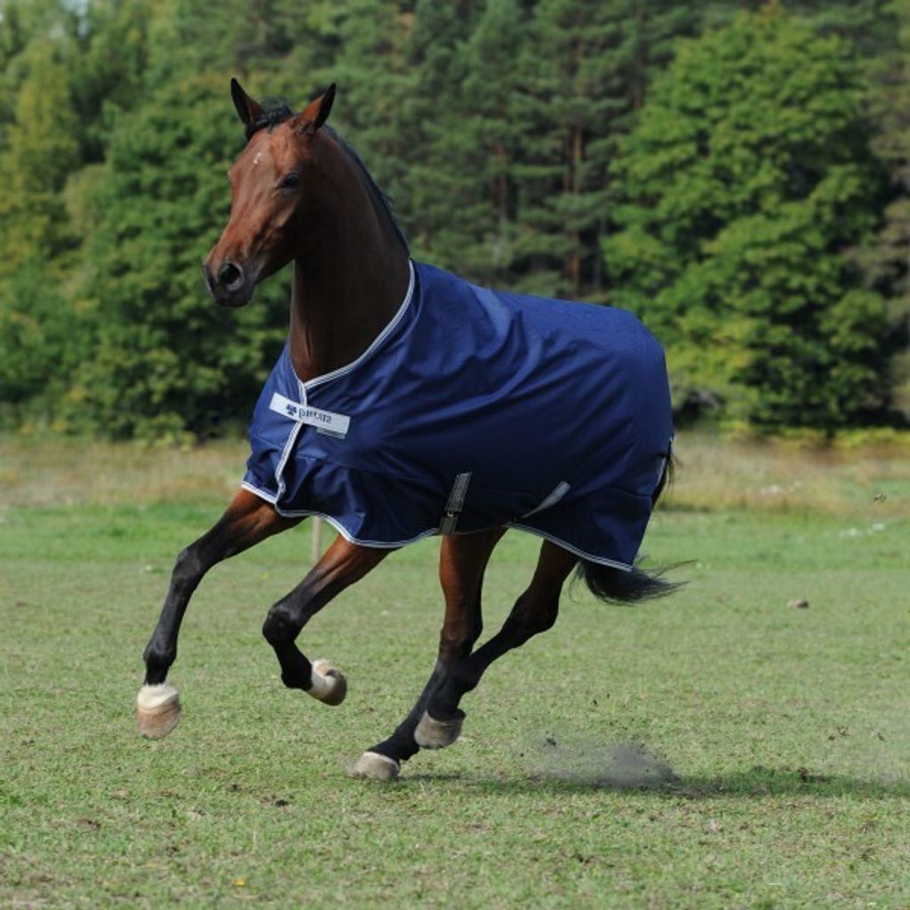 Bucas Outdoordecke 0g Freedom Turnout Light Regendecke Navy/Silver 85