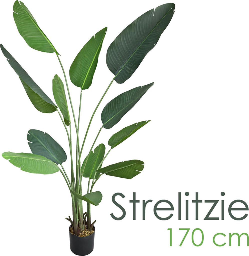 Decovego Umelá strelícia 170 cm, umelá rastlina rajského Obrázok produktu 