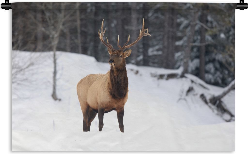 MuchoWow Wandteppich Wandbehang Rotwild - Schnee - Winter 90x60 cm Tapisserie Dekoration Wandtuch - Wandskulpturen - Bildteppich