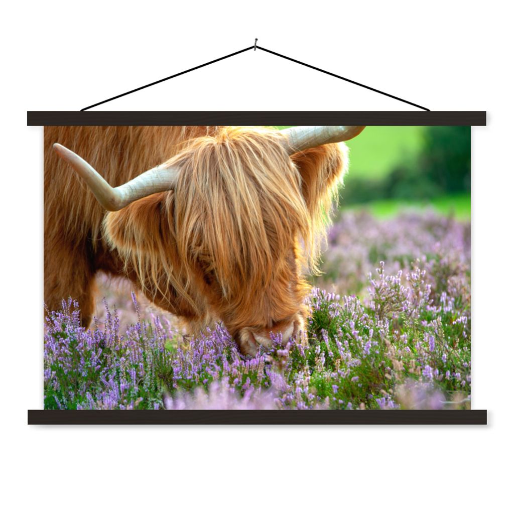 MuchoWow Textilposter Schottische Highlander - Gras - Heidekraut - Tiere 90x60 cm mit schwarzem Rahmen - Aufhängungssatz