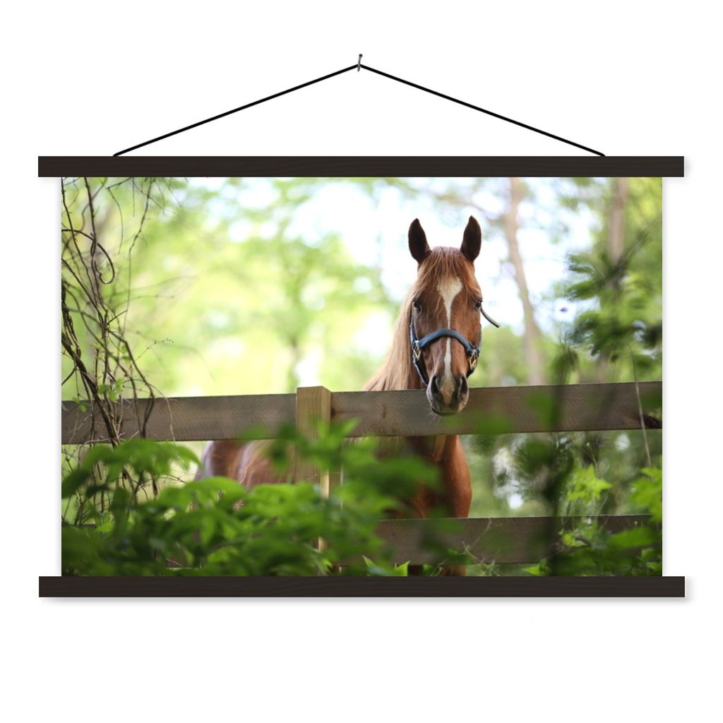 MuchoWow Textilposter Pferd - Natur - Zaun 150x100 cm mit schwarzem Rahmen - Schlafzimmer