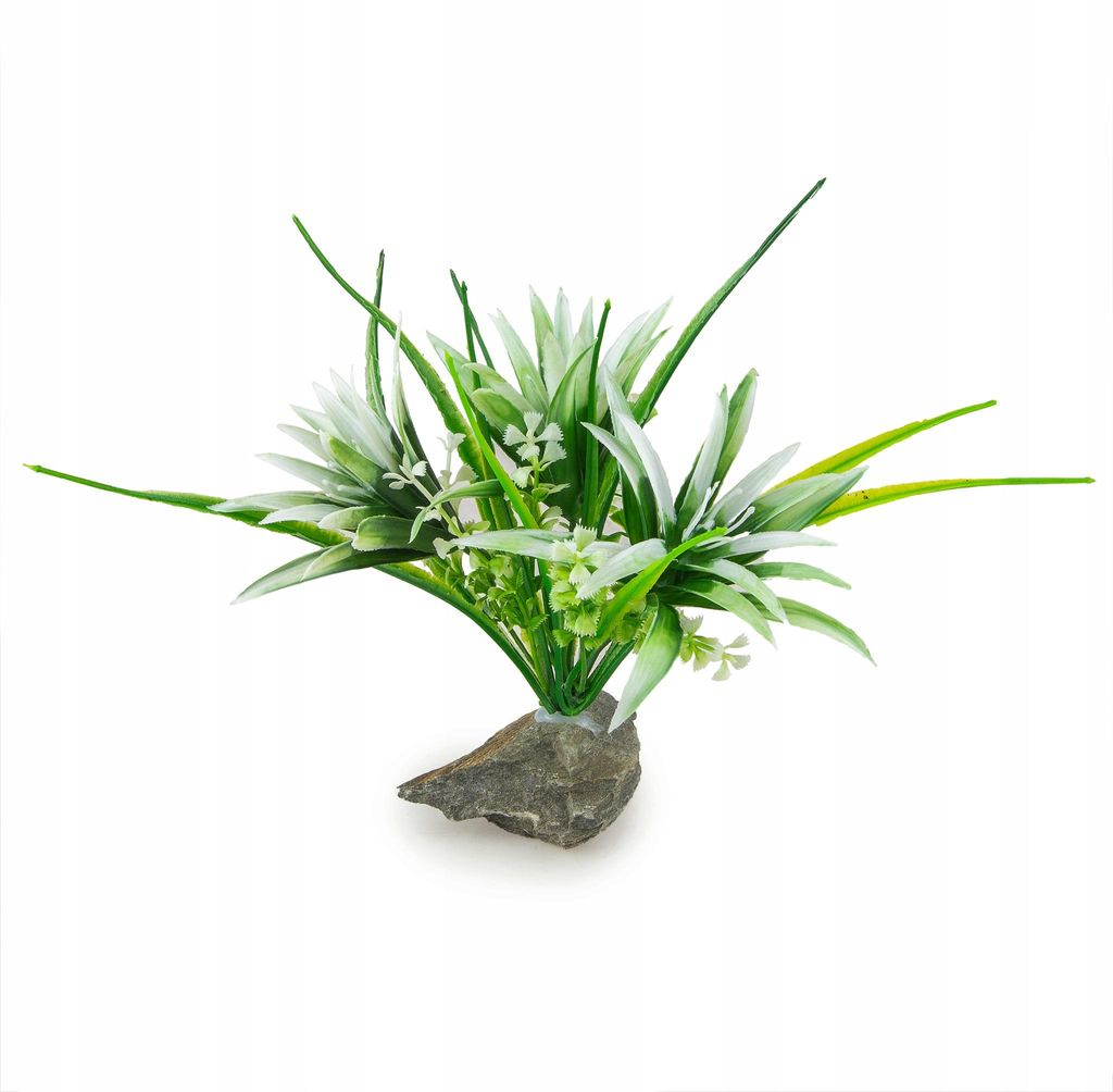 Aquariumpflanze 20 cm, Naturstein-Beschwerung, fischsicher