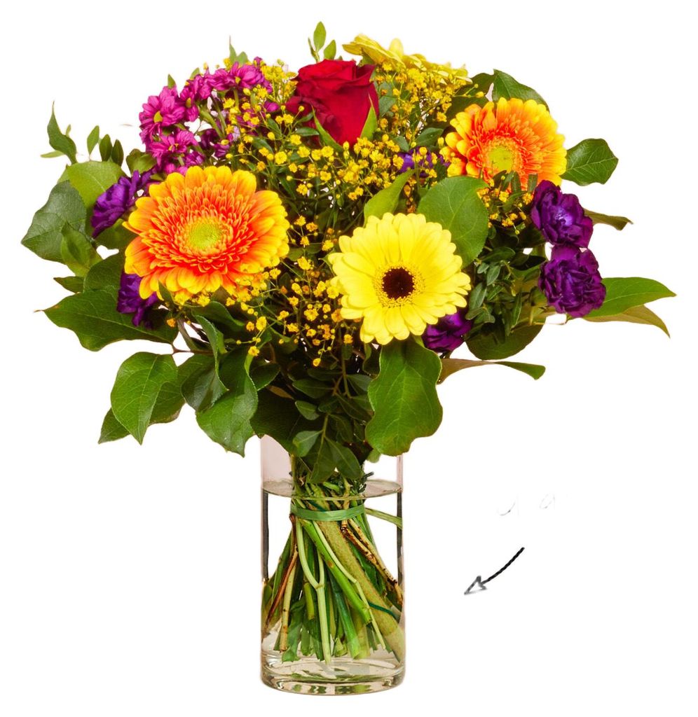 Blumenstrauß Farbenfreude | Geschenk - frische Blumen | Produktbild 