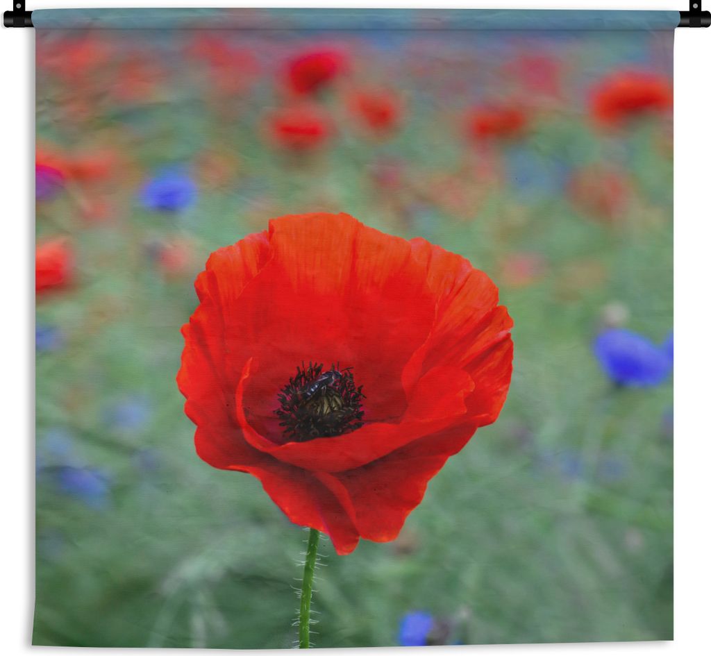 MuchoWow Wandteppich Wandbehang Lila und rote Mohnblumen auf einer Wiese 60x60 cm Tapisserie Dekoration Wandtuch - Dekorationen - Wand Decke