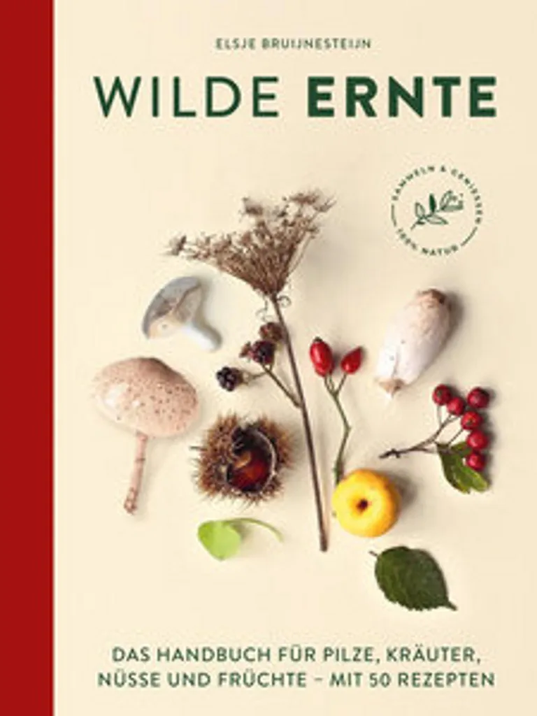 Huile Récolte Sauvage Pure pour Cuisine saine et Sans Additif